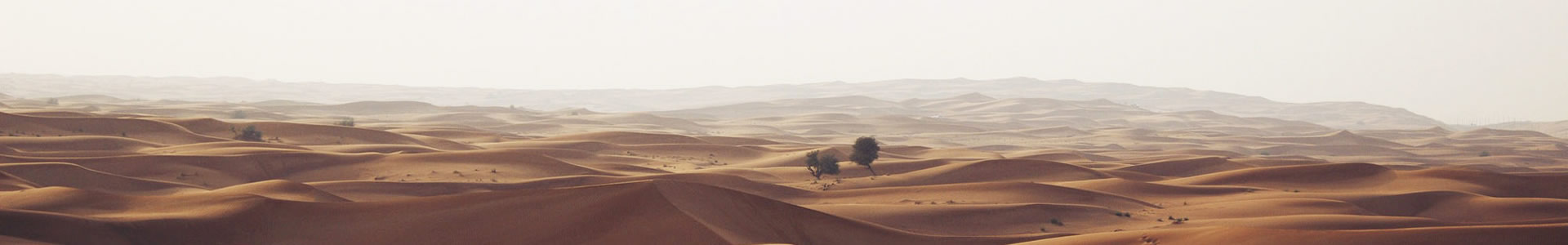 ݺεƺ޹˾